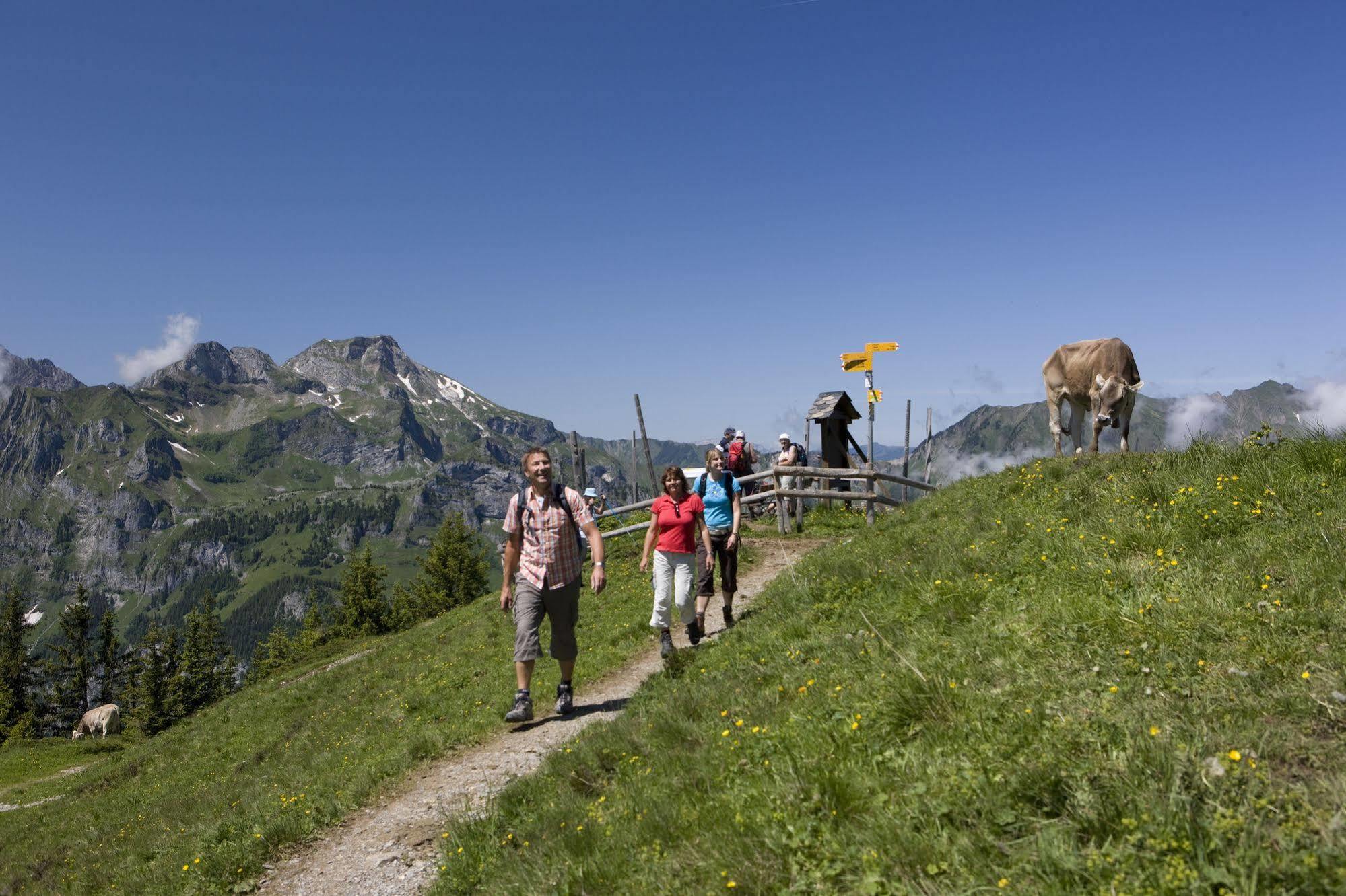 Berglodge Restaurant Ristis Engelberg Eksteriør billede